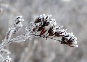 Frieden nur unter sich