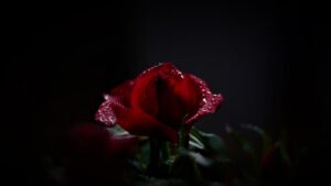 Przewodniczący ZNSSK w&nbsp;Polsce składa kondolencję rodzinie Jana König