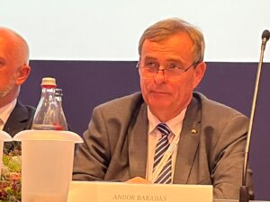 Kongres FUEN w&nbsp;Berlinie